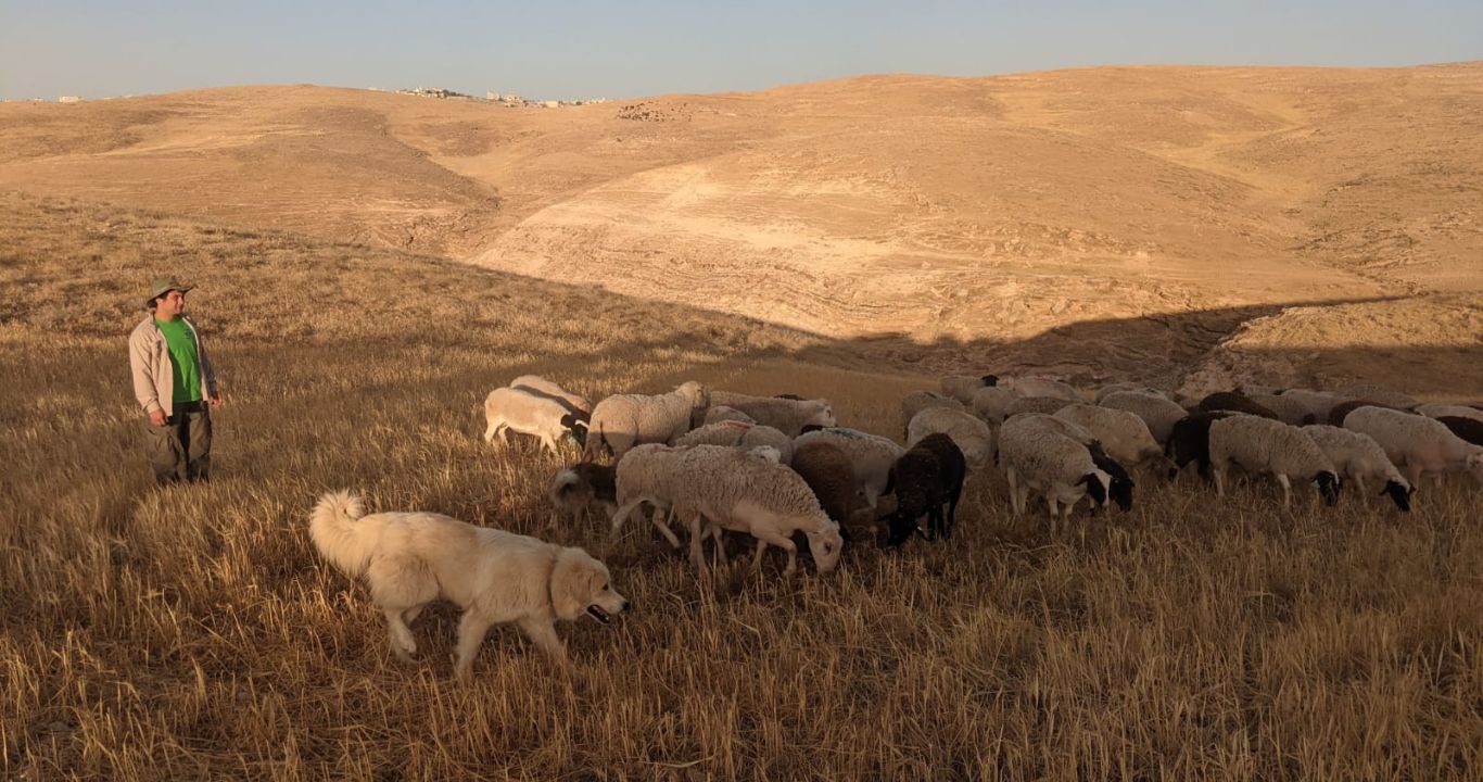 חוות אל נוה